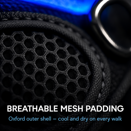 Light Up Dog Harness with Rechargeable LED Lights and Handle