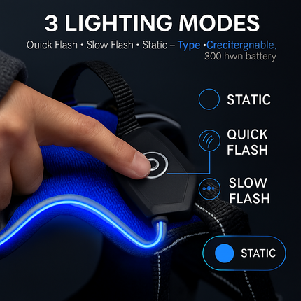 Light Up Dog Harness with Rechargeable LED Lights and Handle