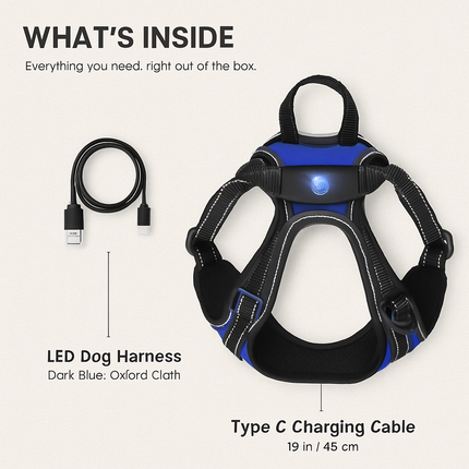 Light Up Dog Harness with Rechargeable LED Lights and Handle