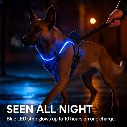 Light Up Dog Harness with Rechargeable LED Lights and Handle