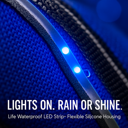 Light Up Dog Harness with Rechargeable LED Lights and Handle