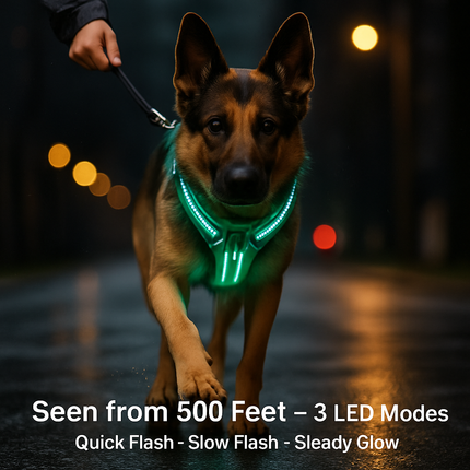 Light Up Dog Harness with Rechargeable LED Lights and Handle