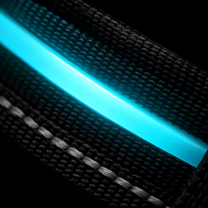 Light Up Dog Harness with Rechargeable LED Lights and Handle
