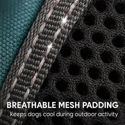 Light Up Dog Harness with Rechargeable LED Lights and Handle