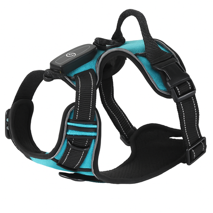 Light Up Dog Harness with Rechargeable LED Lights and Handle