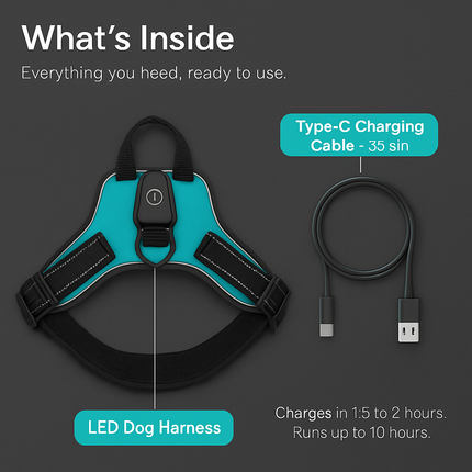 Light Up Dog Harness with Rechargeable LED Lights and Handle