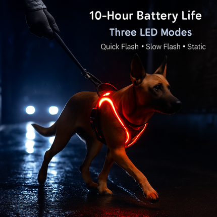 Light Up Dog Harness with Rechargeable LED Lights and Handle