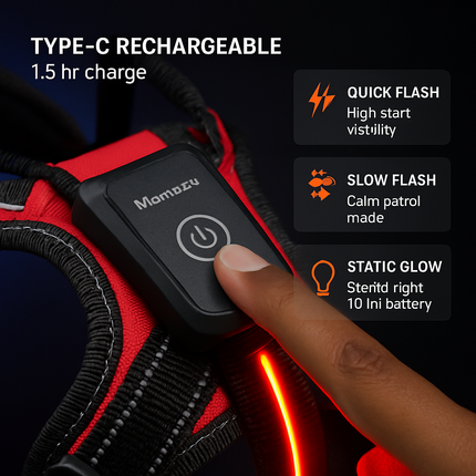 Light Up Dog Harness with Rechargeable LED Lights and Handle