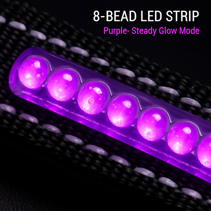 Light Up Dog Collar with LED Night Safety Colors