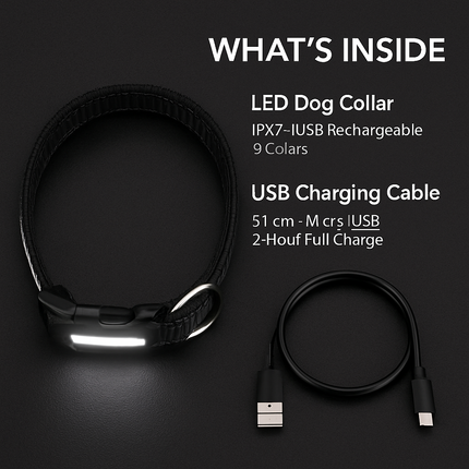 Light Up Dog Collar with LED Night Safety Colors
