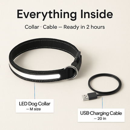 Light Up Dog Collar with LED Night Safety Colors