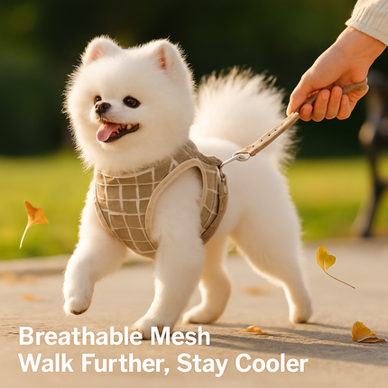 Pet Mesh Harness and Leash Set with Reflective Chest Strap