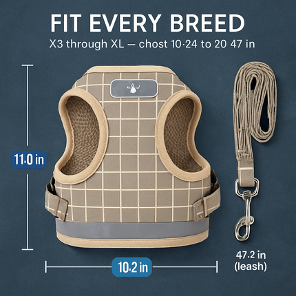 Pet Mesh Harness and Leash Set with Reflective Chest Strap