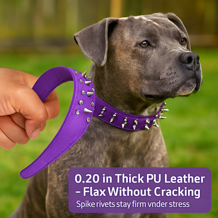 Spiked Dog Leather Collar: Everyday Wear