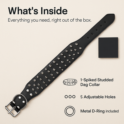 Spiked Dog Leather Collar: Everyday Wear