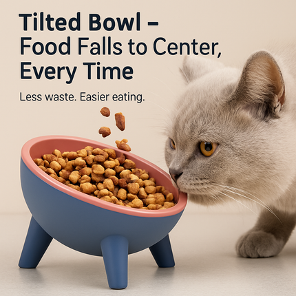 Raised Tilted Elevated Cat Food Bowl for Easy Eating