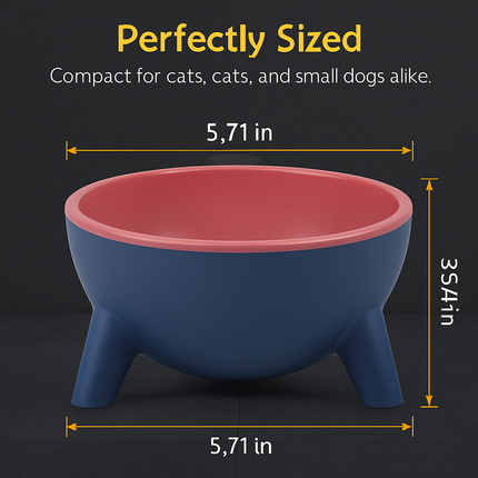 Raised Tilted Elevated Cat Food Bowl for Easy Eating