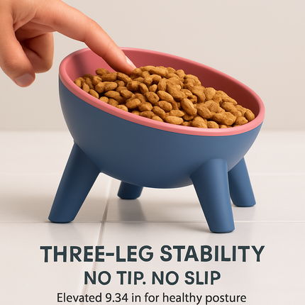 Raised Tilted Elevated Cat Food Bowl for Easy Eating