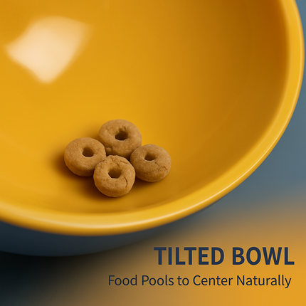 Raised Tilted Elevated Cat Food Bowl for Easy Eating