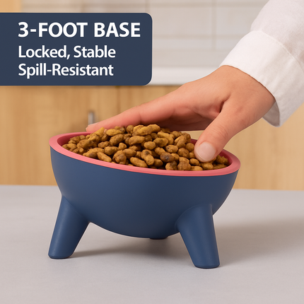 Raised Tilted Elevated Cat Food Bowl for Easy Eating