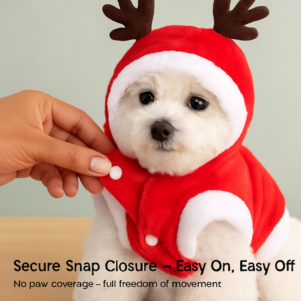 Pet Christmas Santa Claus Reindeer Antlers Costume