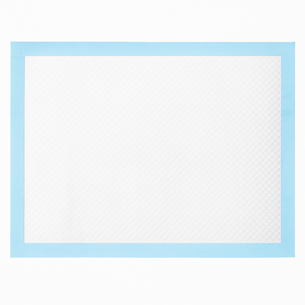 Dog Training Pads for Puppy Potty Training
