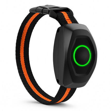 Waterproof Dog Training Collar with Receiver and Beep