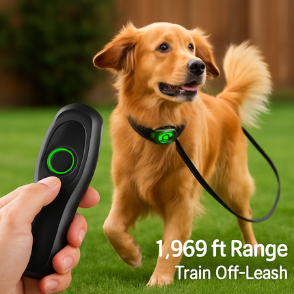 Waterproof Dog Training Collar with Receiver and Beep