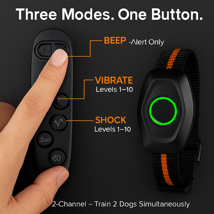 Waterproof Dog Training Collar with Receiver and Beep