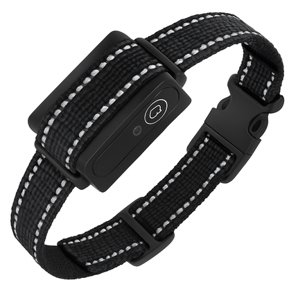 Dog Training Collar Receiver - Safe, Gentle Training Aid