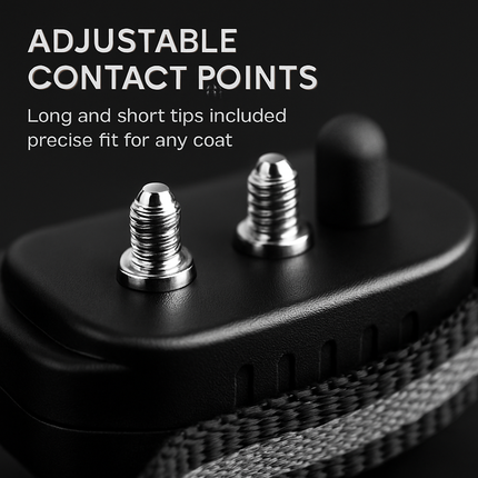 Wireless Dog Fence & Training Collar Pro