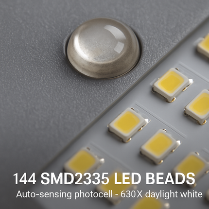 Wall Pack Outdoor Light All-Weather Dusk-to-Dawn
