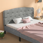 Light Gray